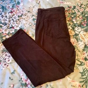 Style & Co dark brown slim leg jeans